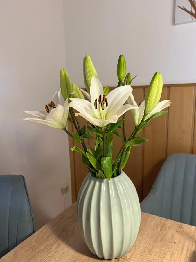 Spielberg Bei Knittelfeld Apartament Acasa מראה חיצוני תמונה